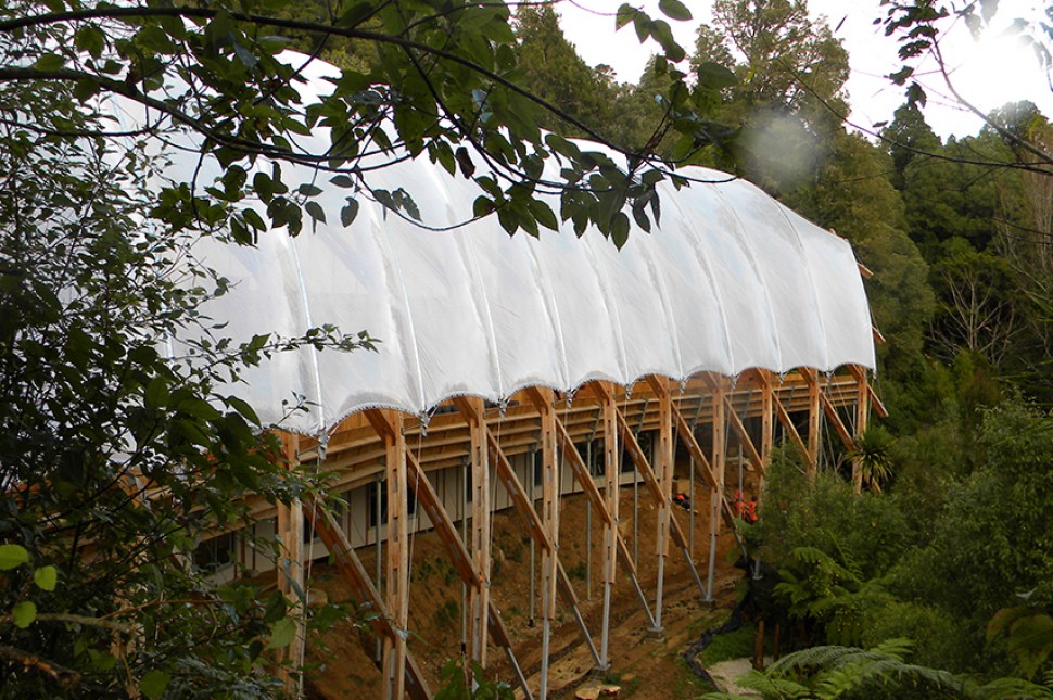 waitomo forest new zealand architecture